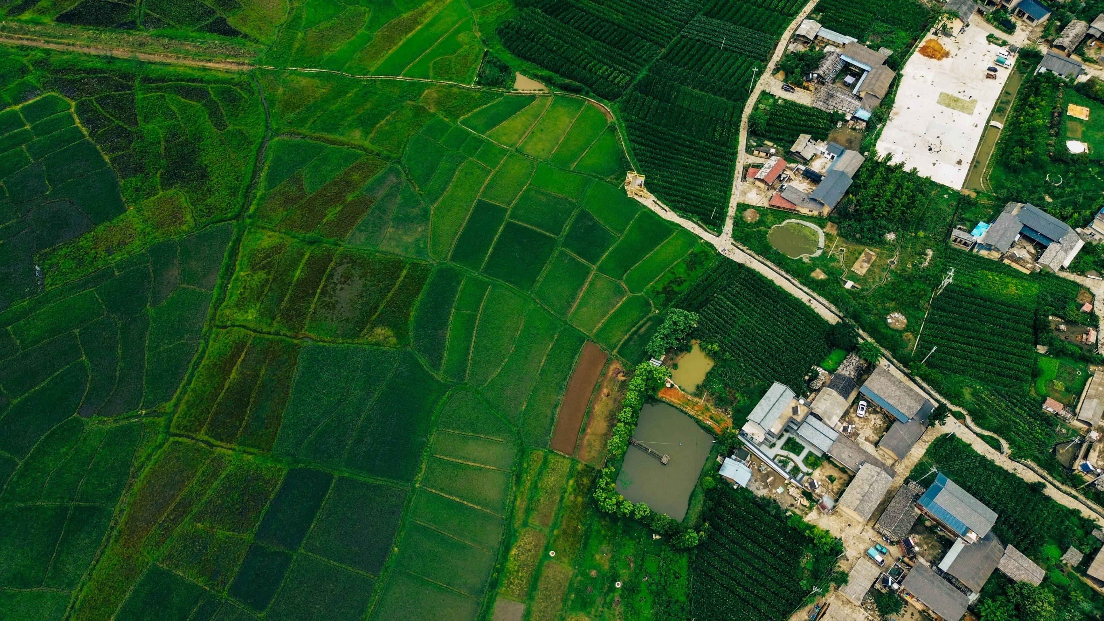 Agriculture Monitoring