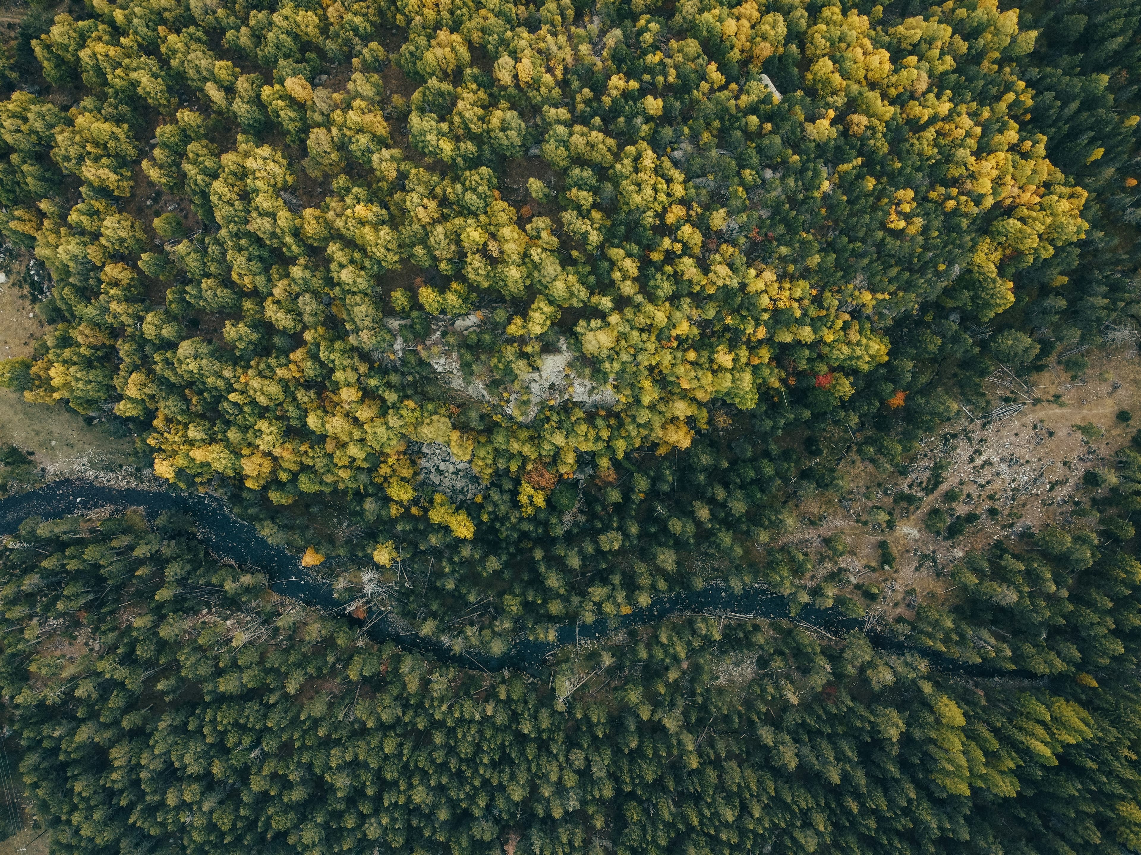 Environmental Management & Conservation